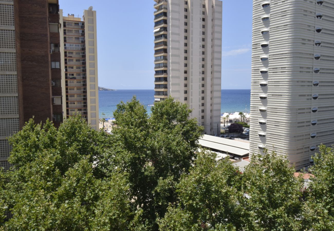 Apartamento en Benidorm - PRINCIPADO MEDITERRANEO (1 DORMITORIO)