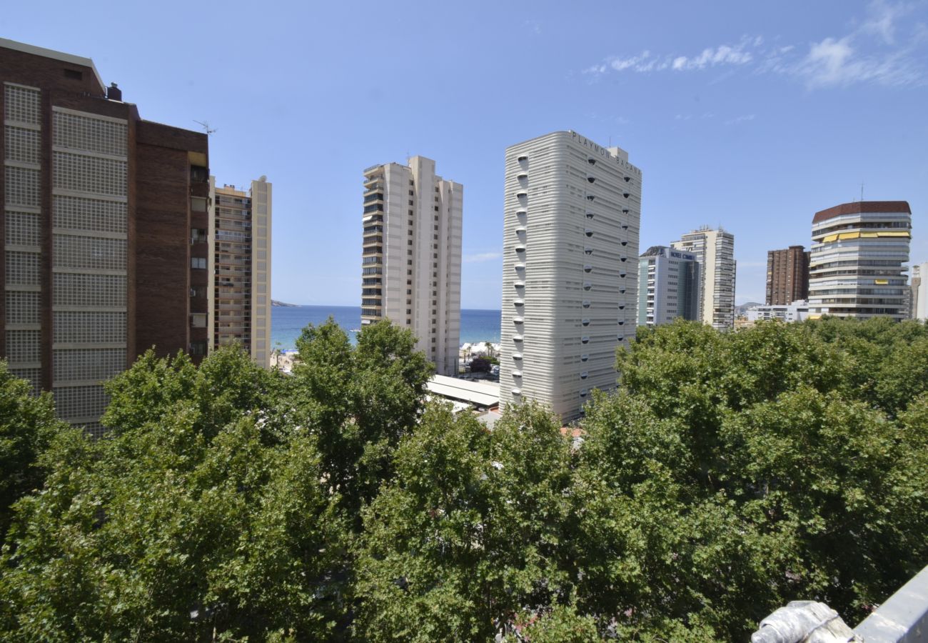 Apartamento en Benidorm - PRINCIPADO MEDITERRANEO (1 DORMITORIO)