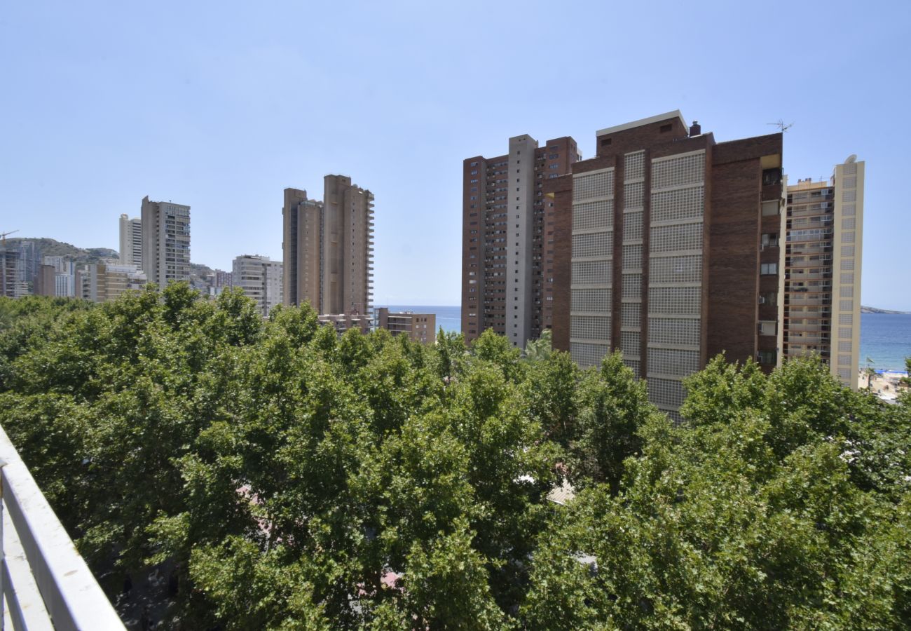 Apartamento en Benidorm - PRINCIPADO MEDITERRANEO (1 DORMITORIO)