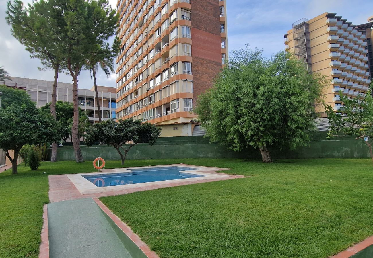 Apartamento en Benidorm - GEMELOS 4 (2 DORMITORIOS)