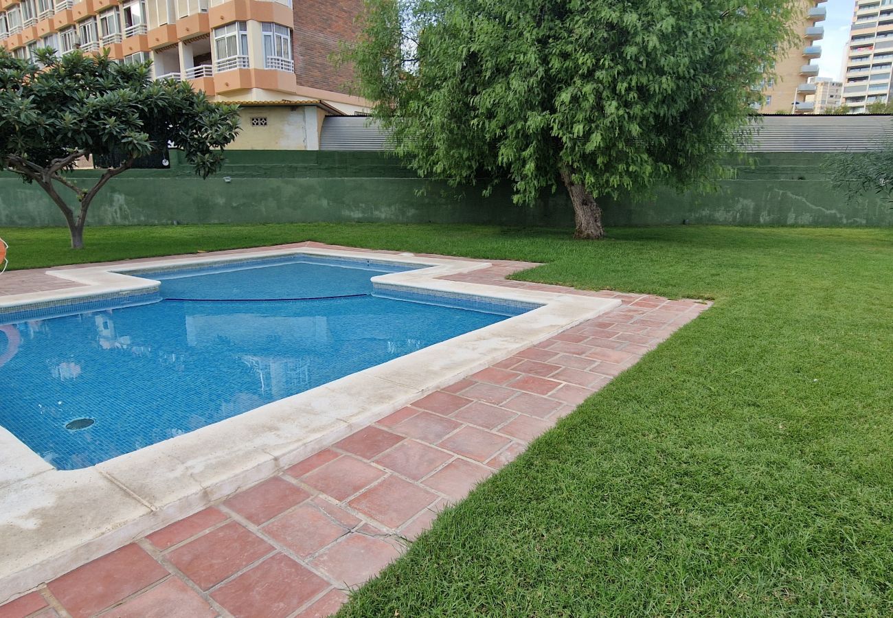 Apartamento en Benidorm - GEMELOS 4 (2 DORMITORIOS)