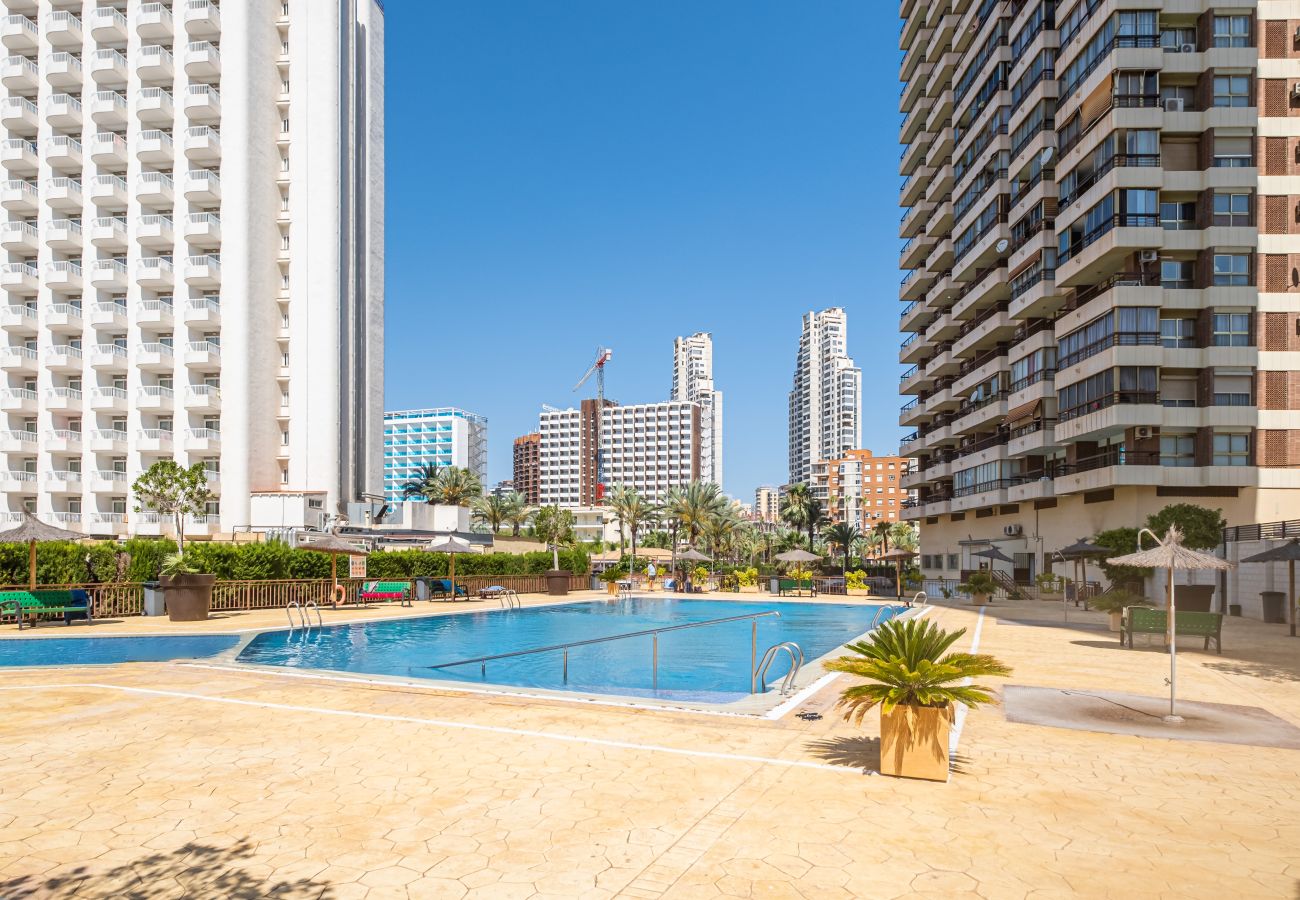 Estudio en Benidorm - ACUARIUM 3 (ESTUDIO)