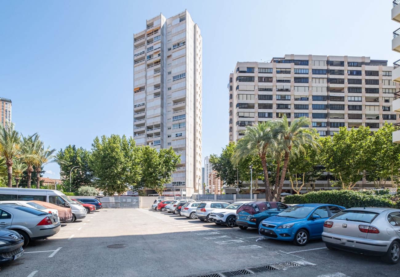 Estudio en Benidorm - ACUARIUM 3 (ESTUDIO)