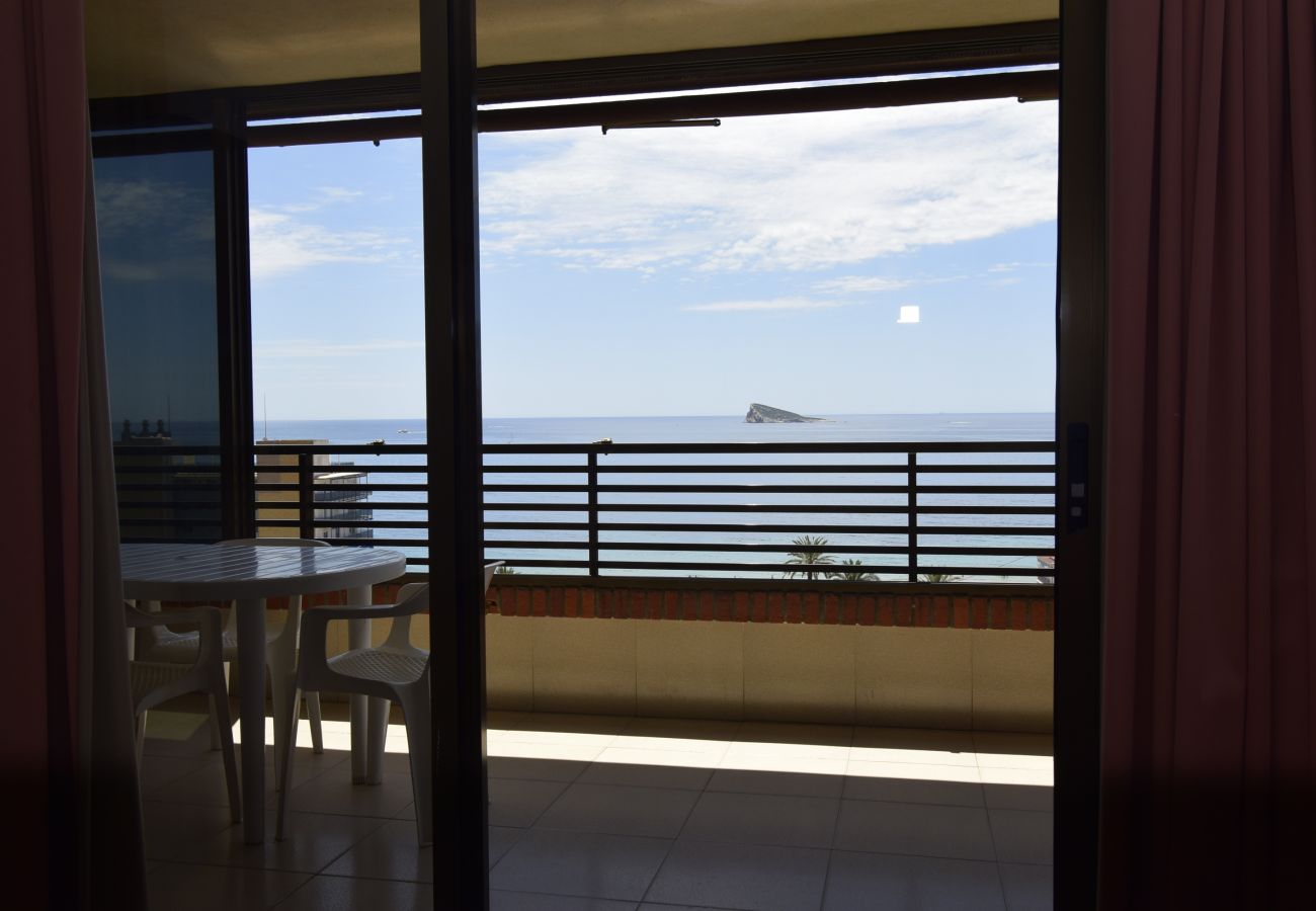 Apartamento en Benidorm - CASTELMAR (1 DORMITORIO)