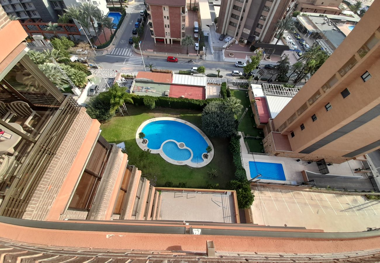 Apartamento en Benidorm - CASTELMAR (1 DORMITORIO)