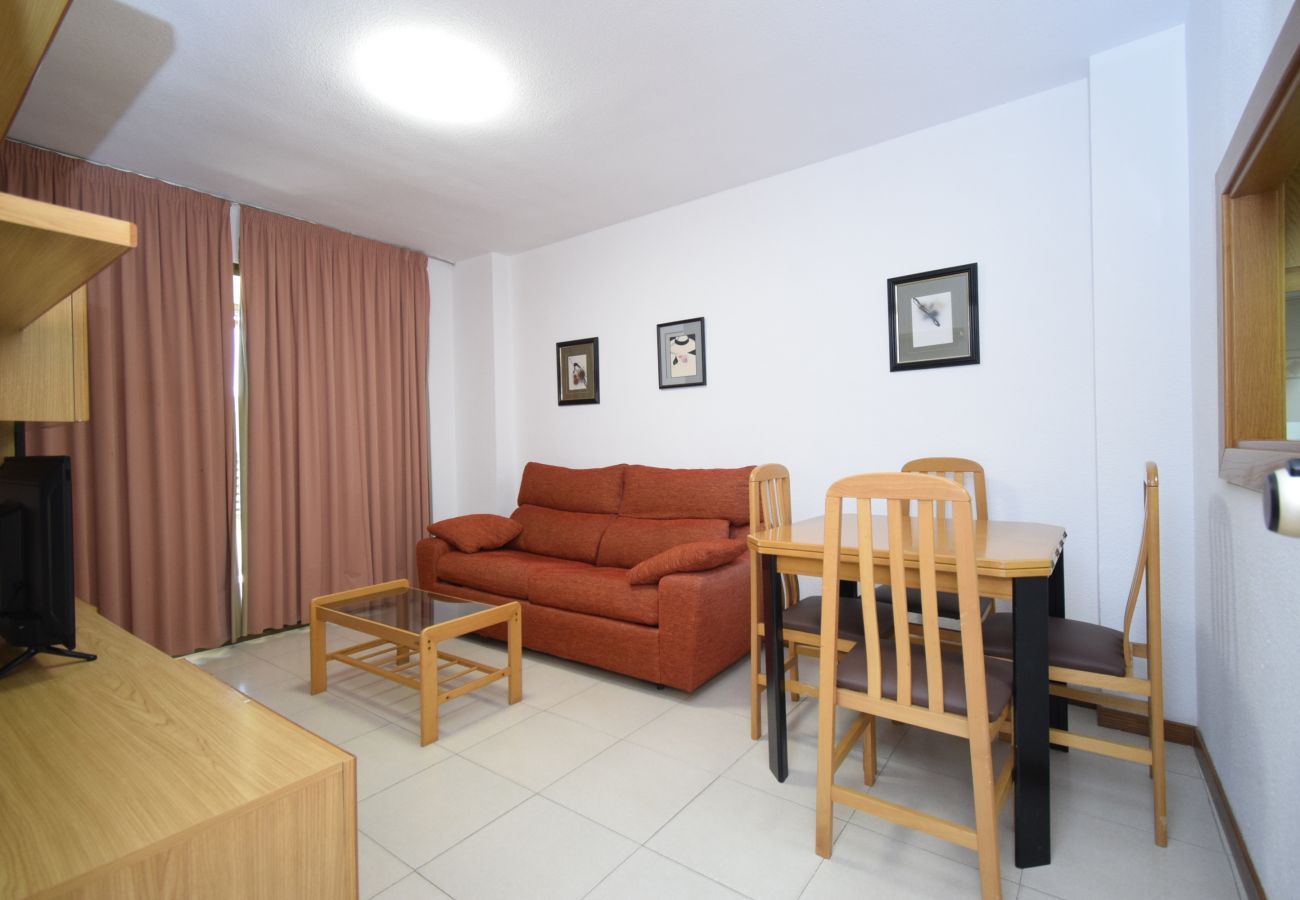 Apartamento en Benidorm - CASTELMAR (1 DORMITORIO)