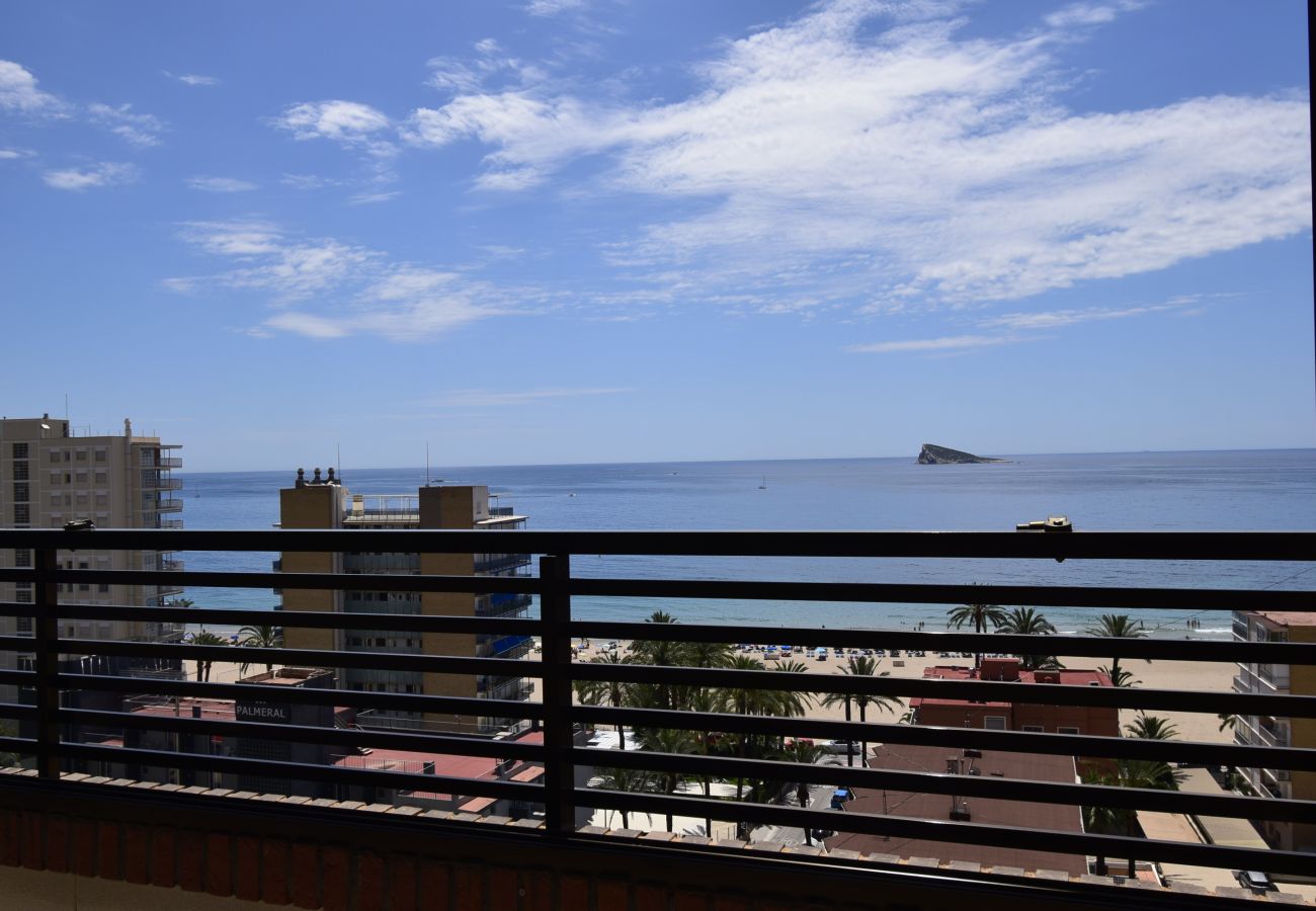 Apartamento en Benidorm - CASTELMAR (1 DORMITORIO)