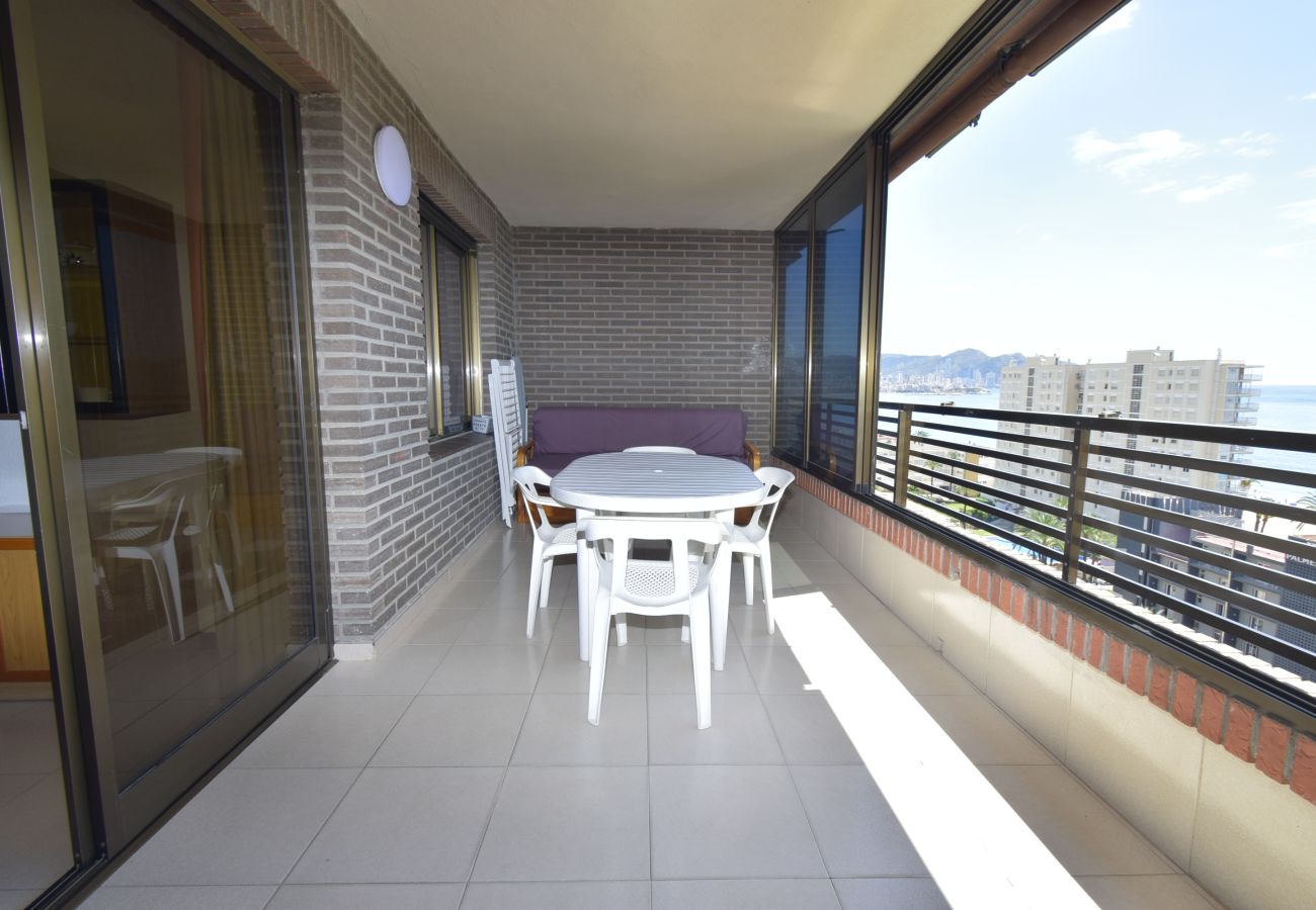 Apartamento en Benidorm - CASTELMAR (1 DORMITORIO)