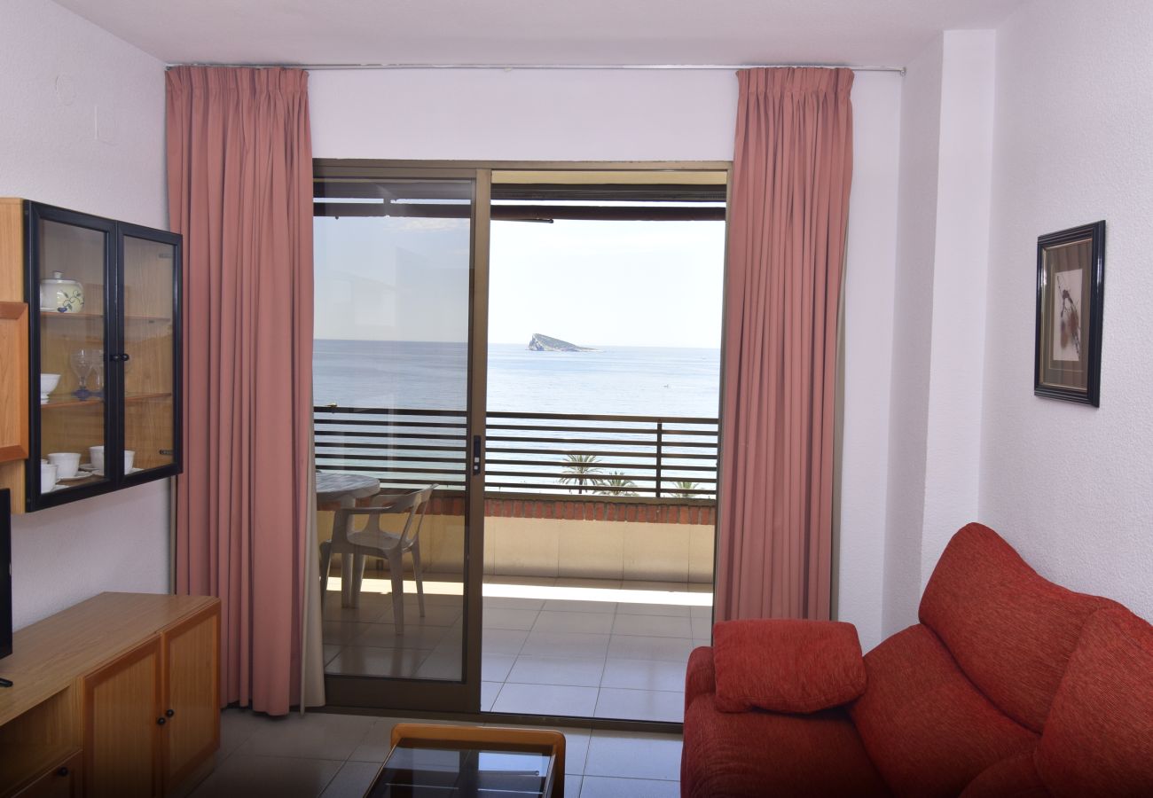 Apartamento en Benidorm - CASTELMAR (1 DORMITORIO)