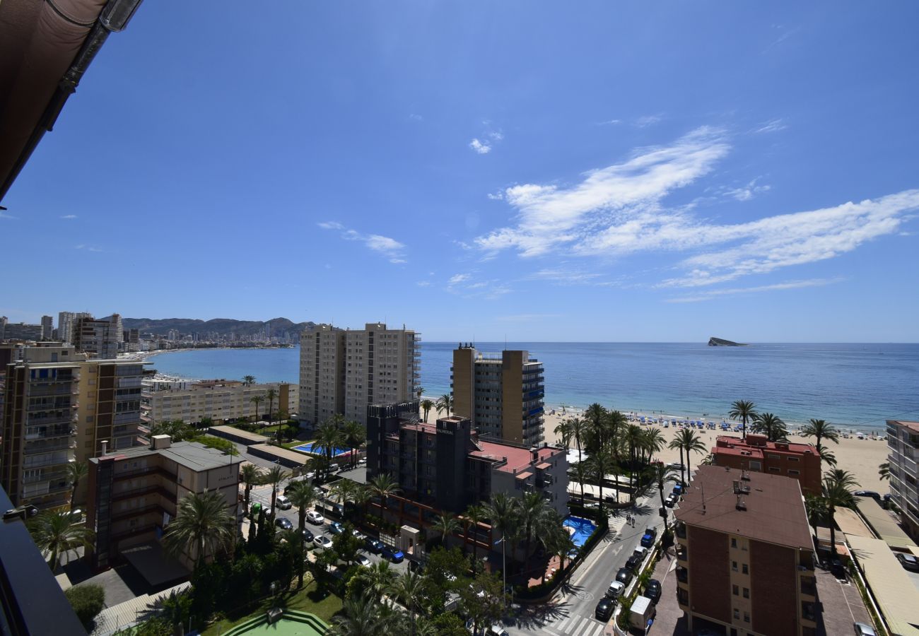 Apartamento en Benidorm - CASTELMAR (1 DORMITORIO)