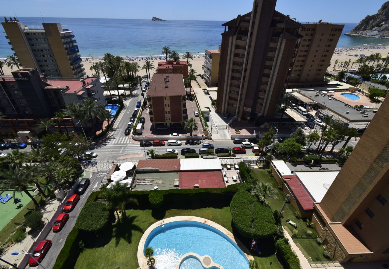 Apartamento en Benidorm - CASTELMAR (1 DORMITORIO)