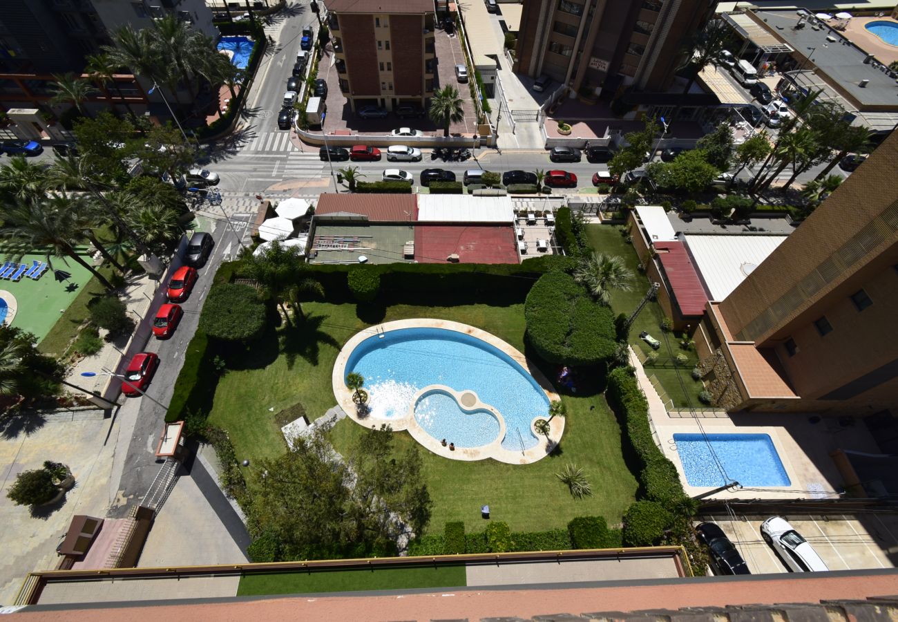 Apartamento en Benidorm - CASTELMAR (1 DORMITORIO)