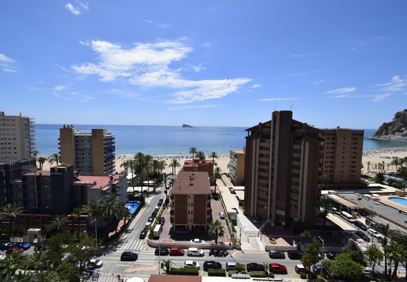 Apartamento en Benidorm - CASTELMAR (1 DORMITORIO)