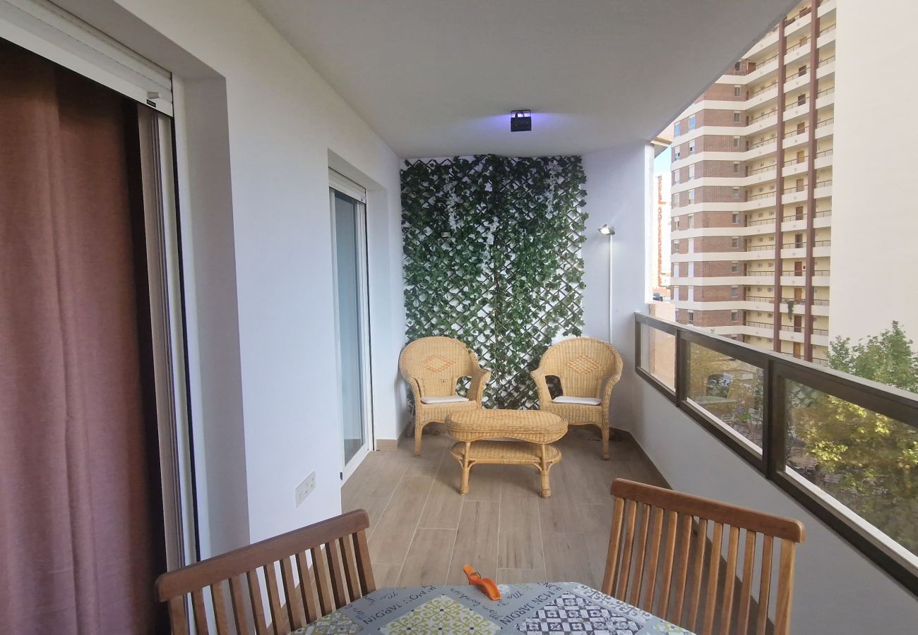 Apartamento en Benidorm - MARISCAL 3 (1 DORMITORIO)