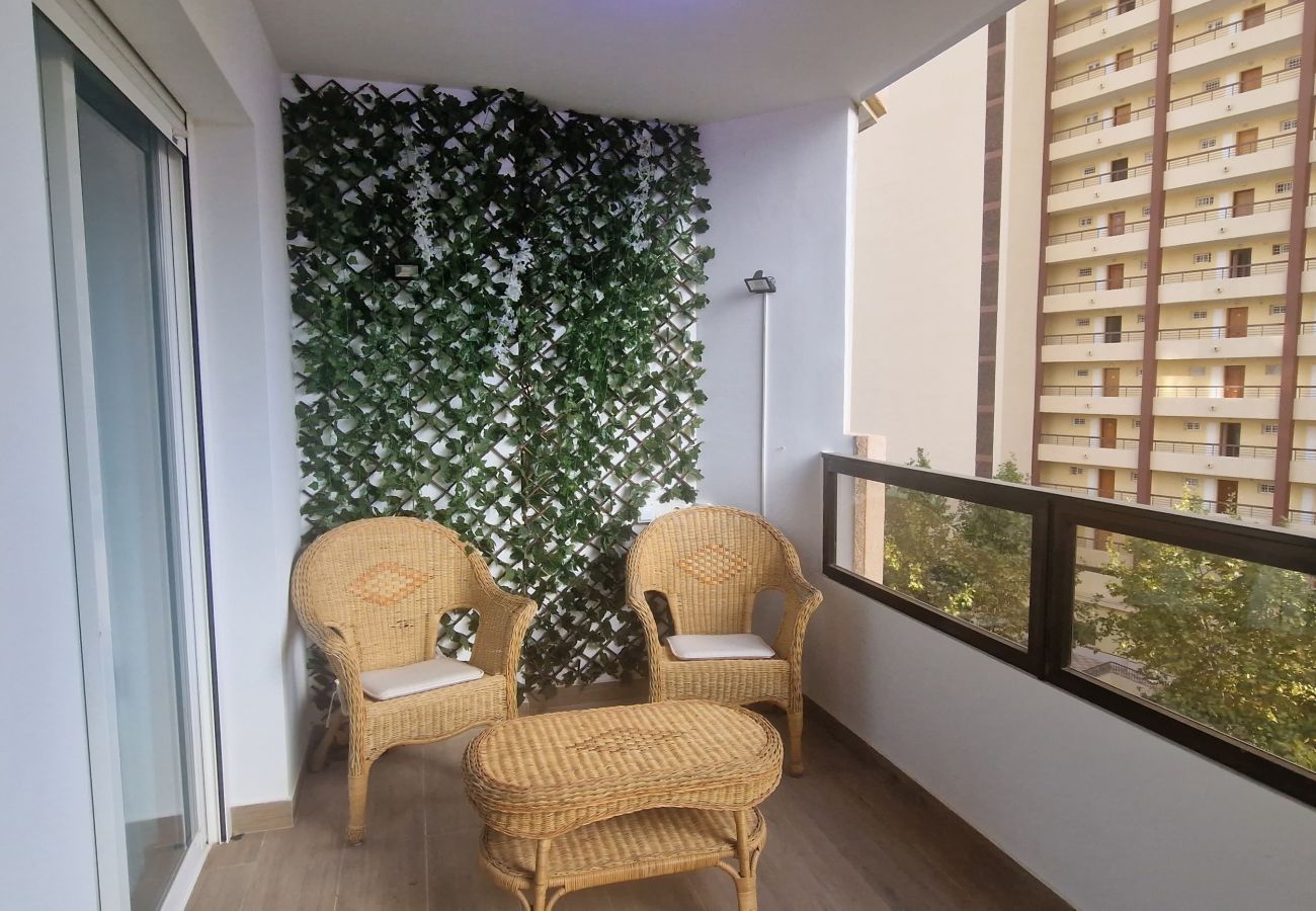 Apartamento en Benidorm - MARISCAL 3 (1 DORMITORIO)