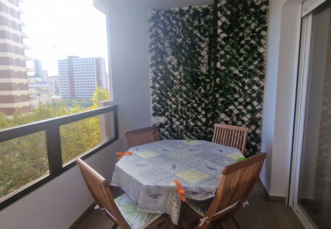 Apartamento en Benidorm - MARISCAL 3 (1 DORMITORIO)