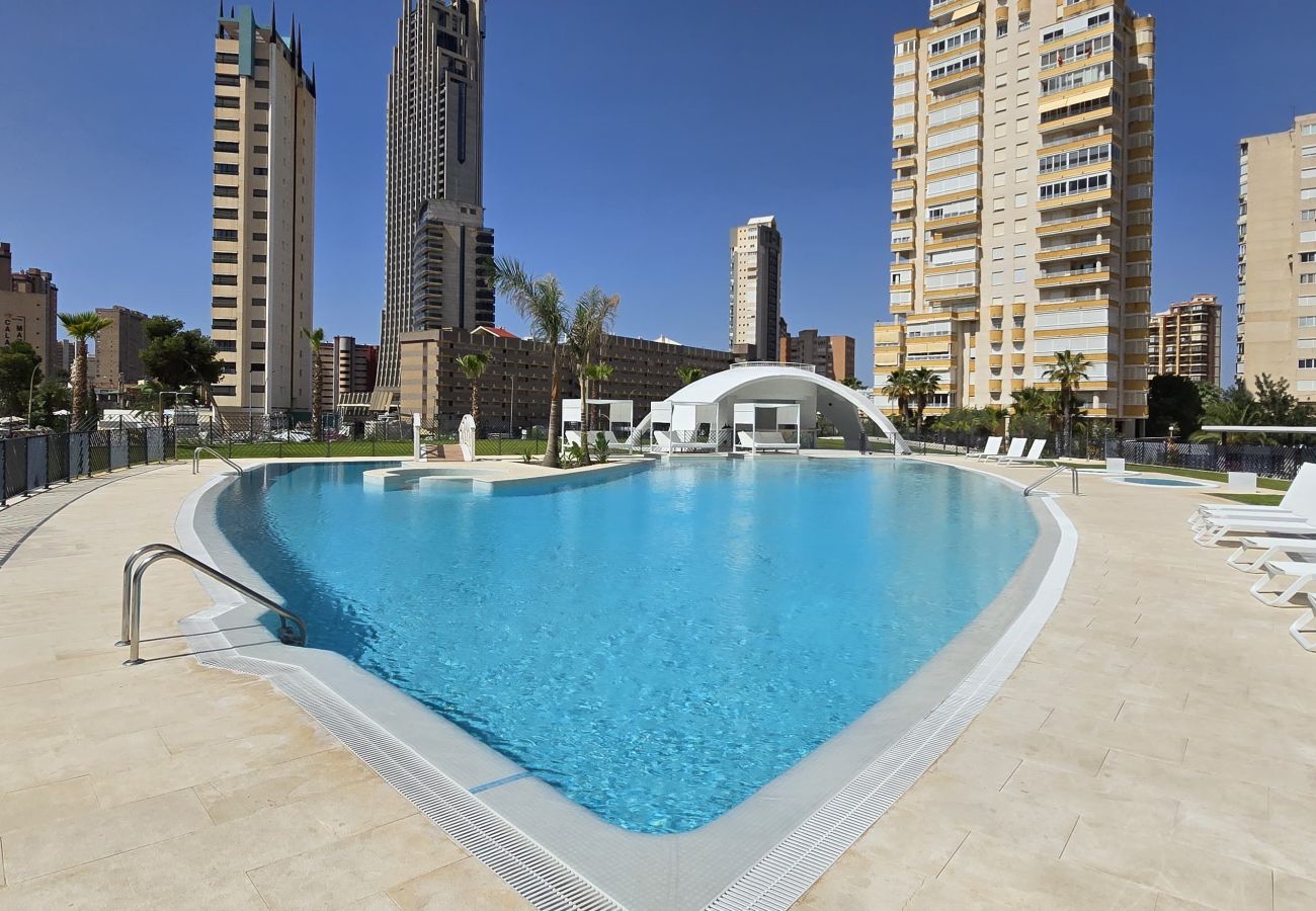 Apartamento en Benidorm - BENIDORM BEACH (2 DORMITORIOS)