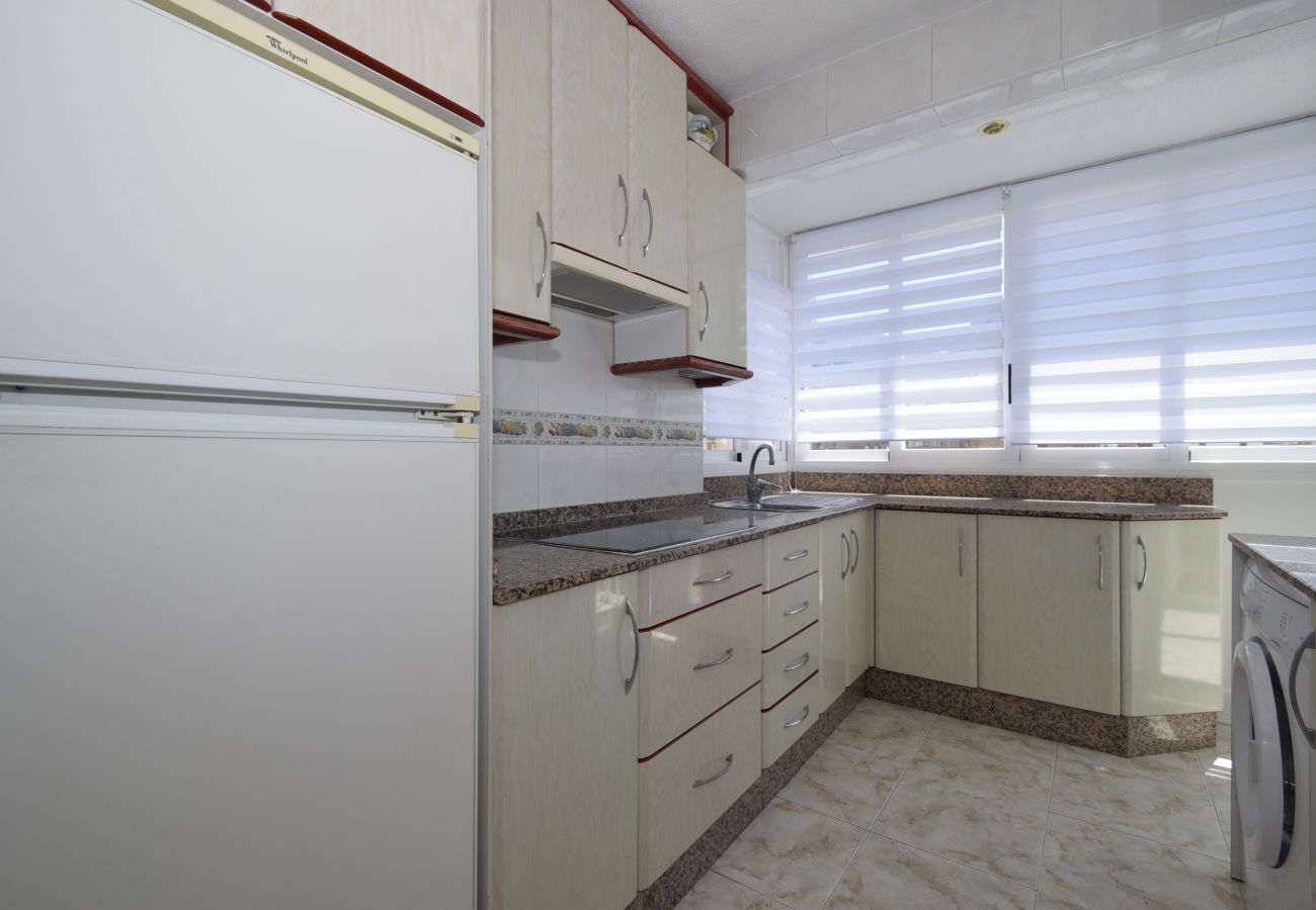 Apartamento en Benidorm - ALBATROS (1 DORMITORIO)