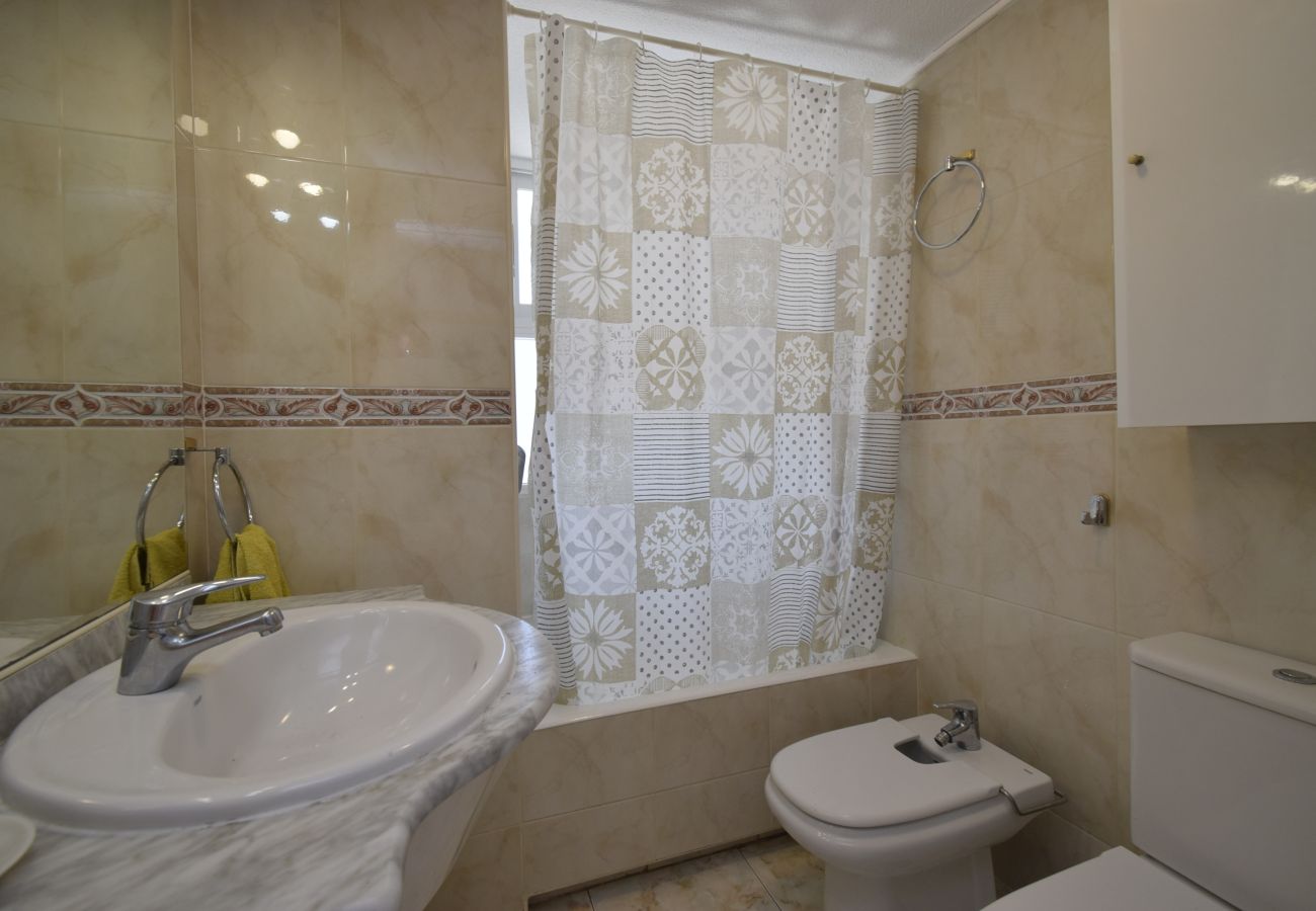 Apartamento en Benidorm - ALBATROS (1 DORMITORIO)