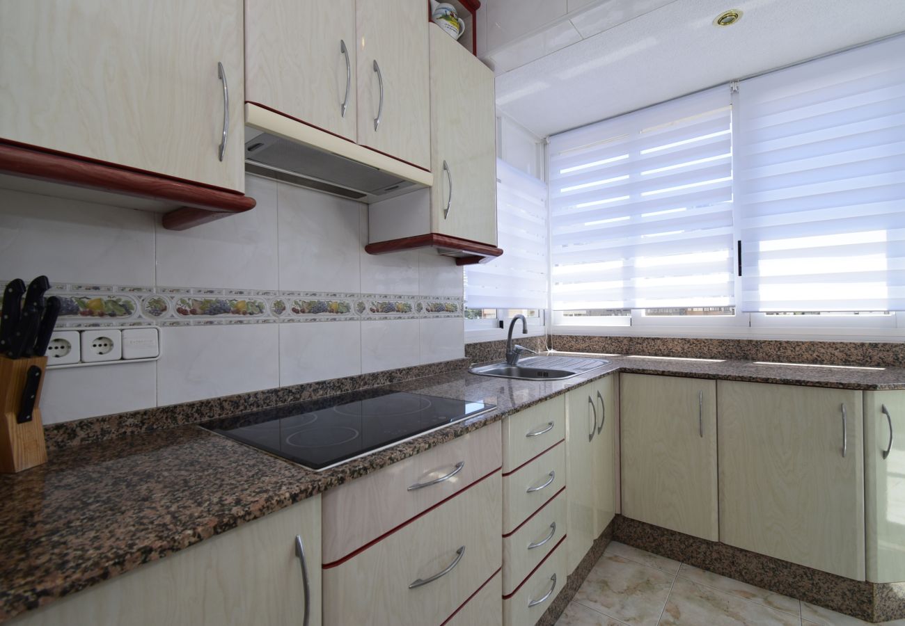 Apartamento en Benidorm - ALBATROS (1 DORMITORIO)