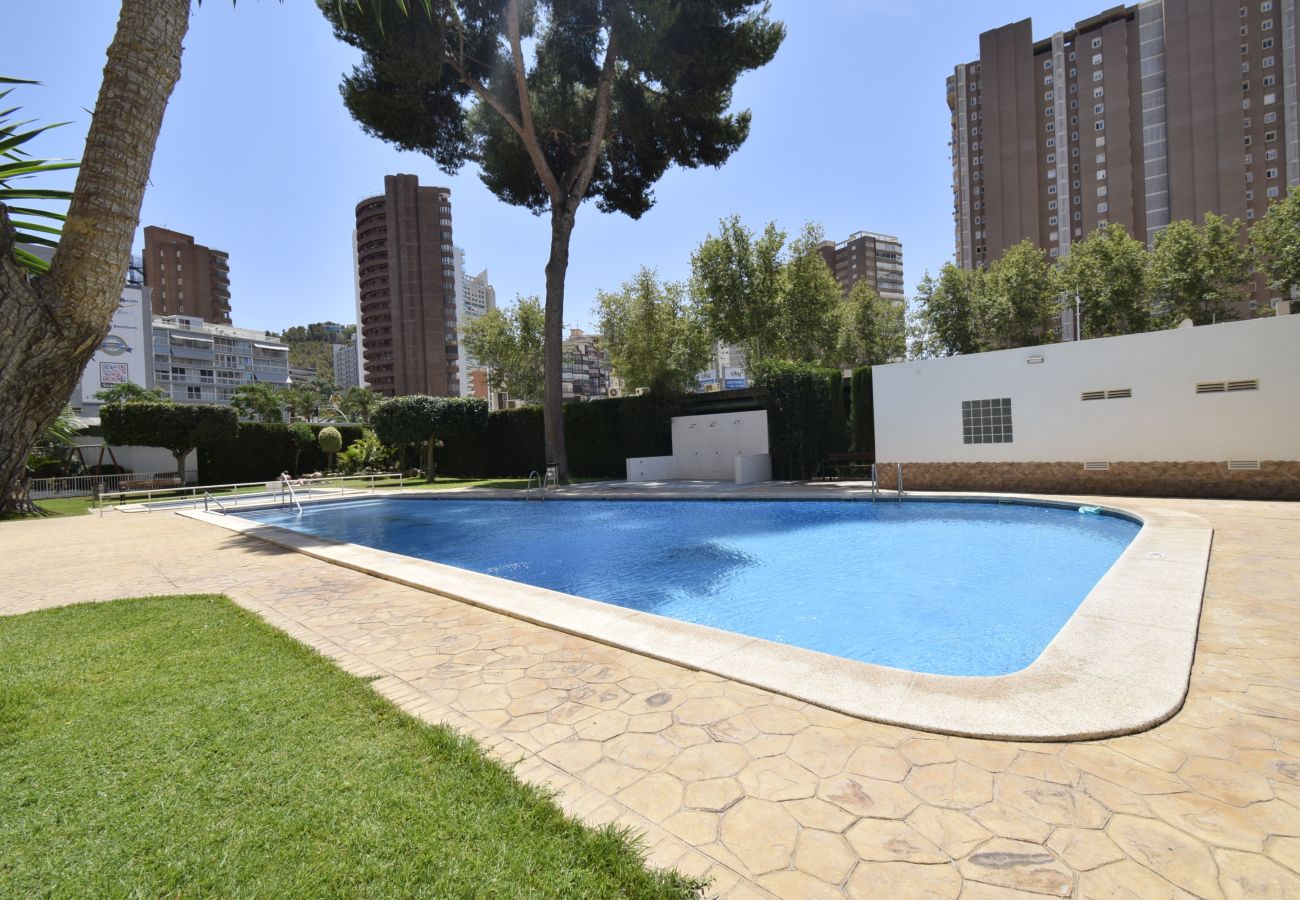 Apartamento en Benidorm - ALBATROS (1 DORMITORIO)