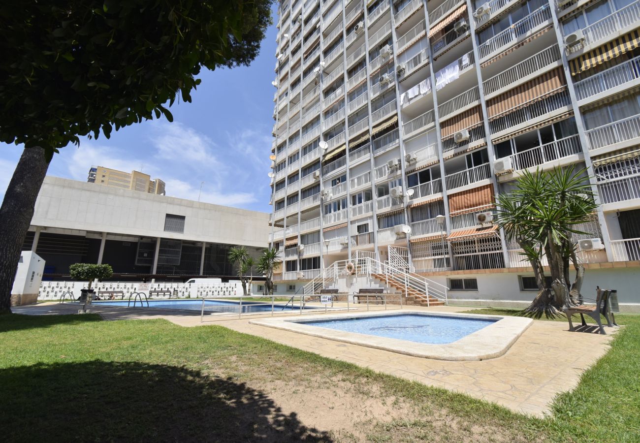 Apartamento en Benidorm - ALBATROS (1 DORMITORIO)