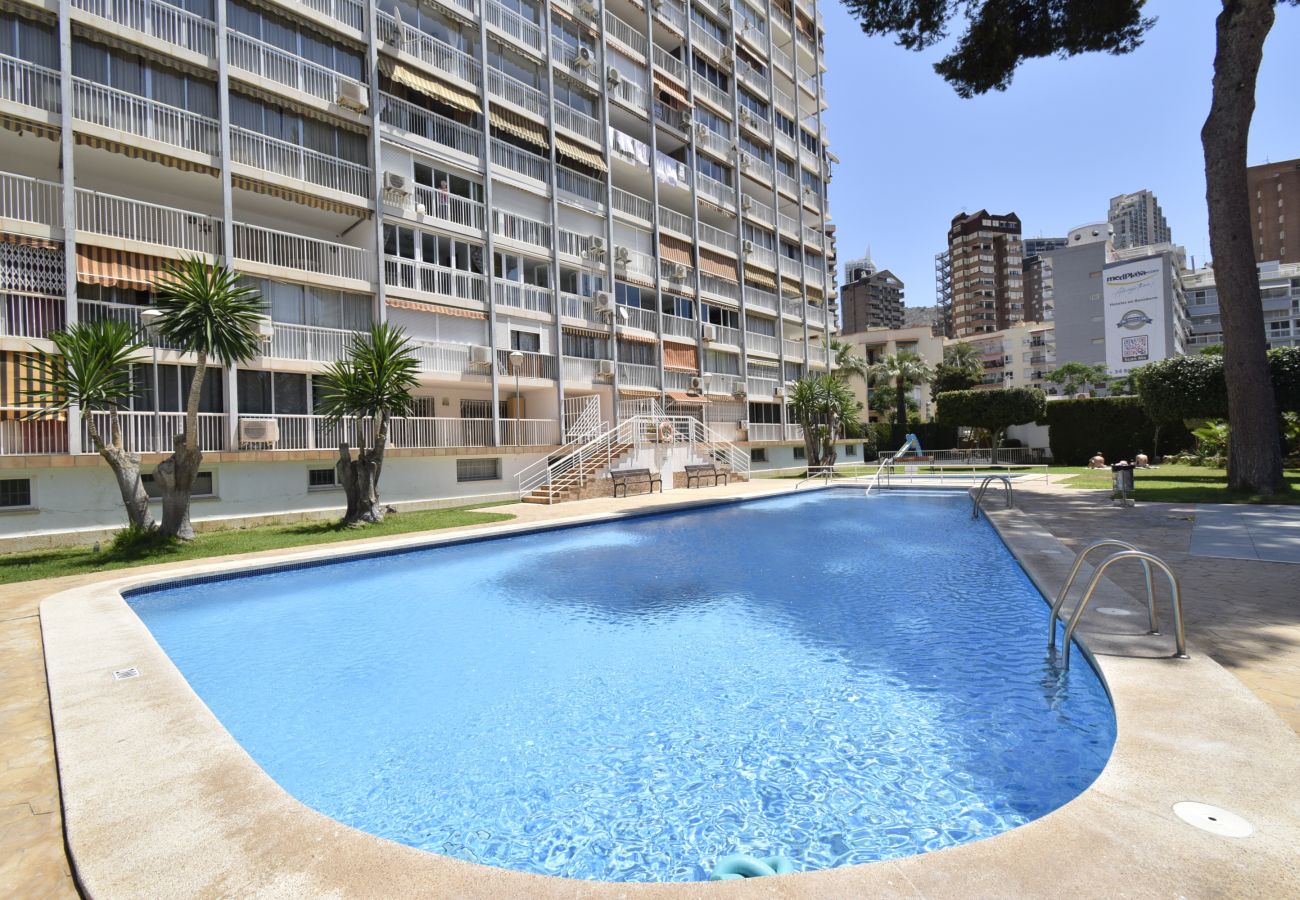 Apartamento en Benidorm - ALBATROS (1 DORMITORIO)