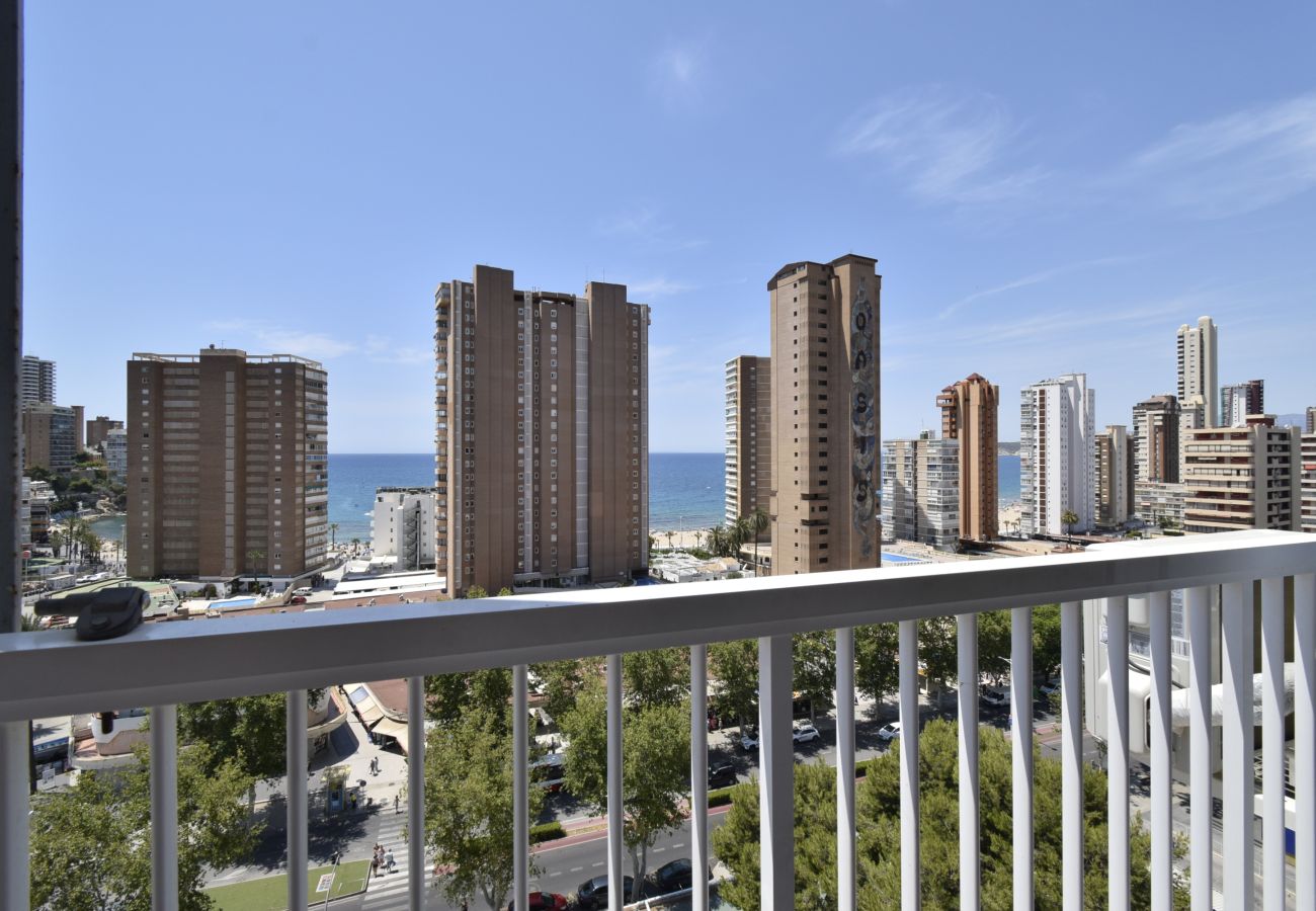 Apartamento en Benidorm - ALBATROS (1 DORMITORIO)