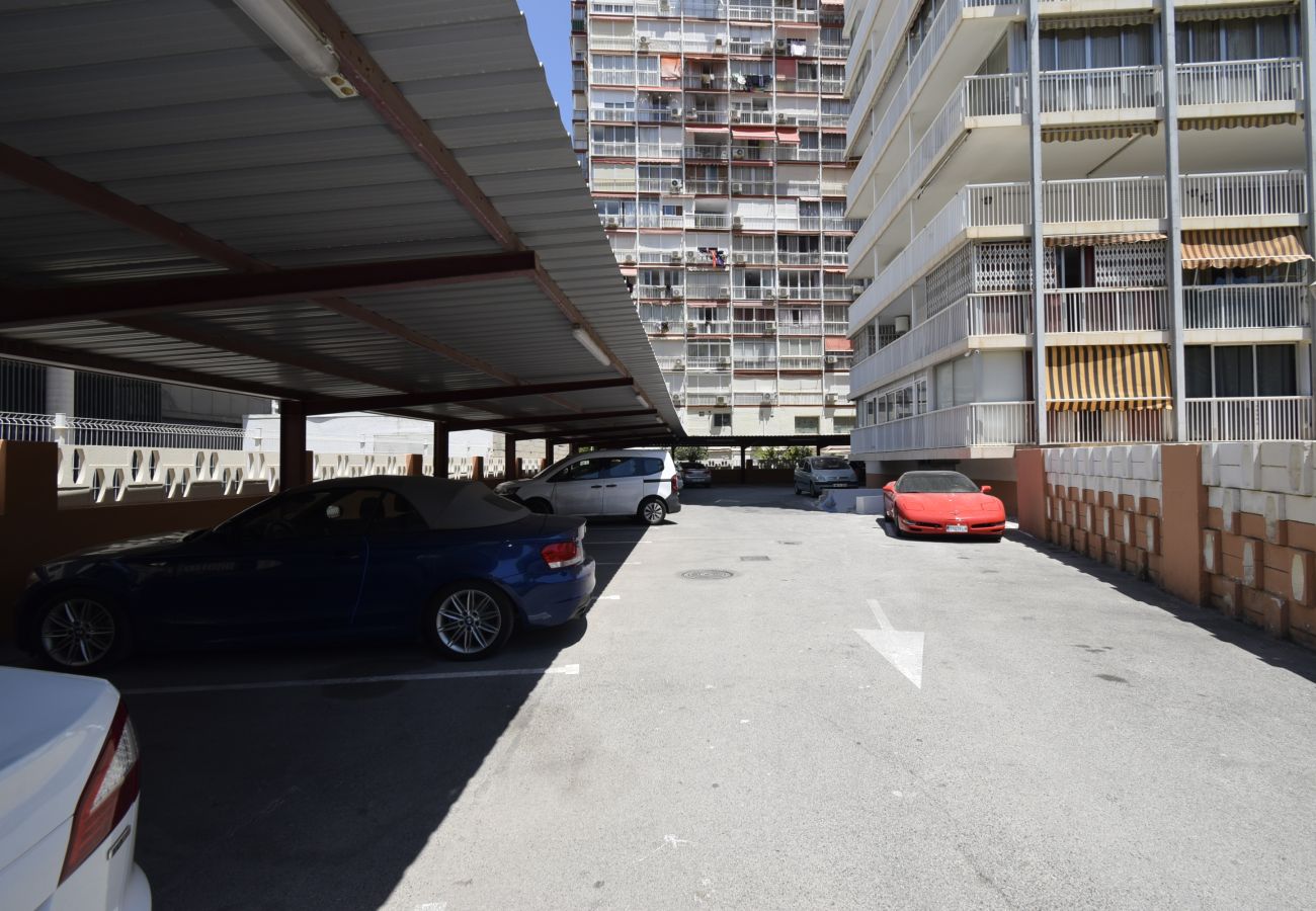 Apartamento en Benidorm - ALBATROS (1 DORMITORIO)