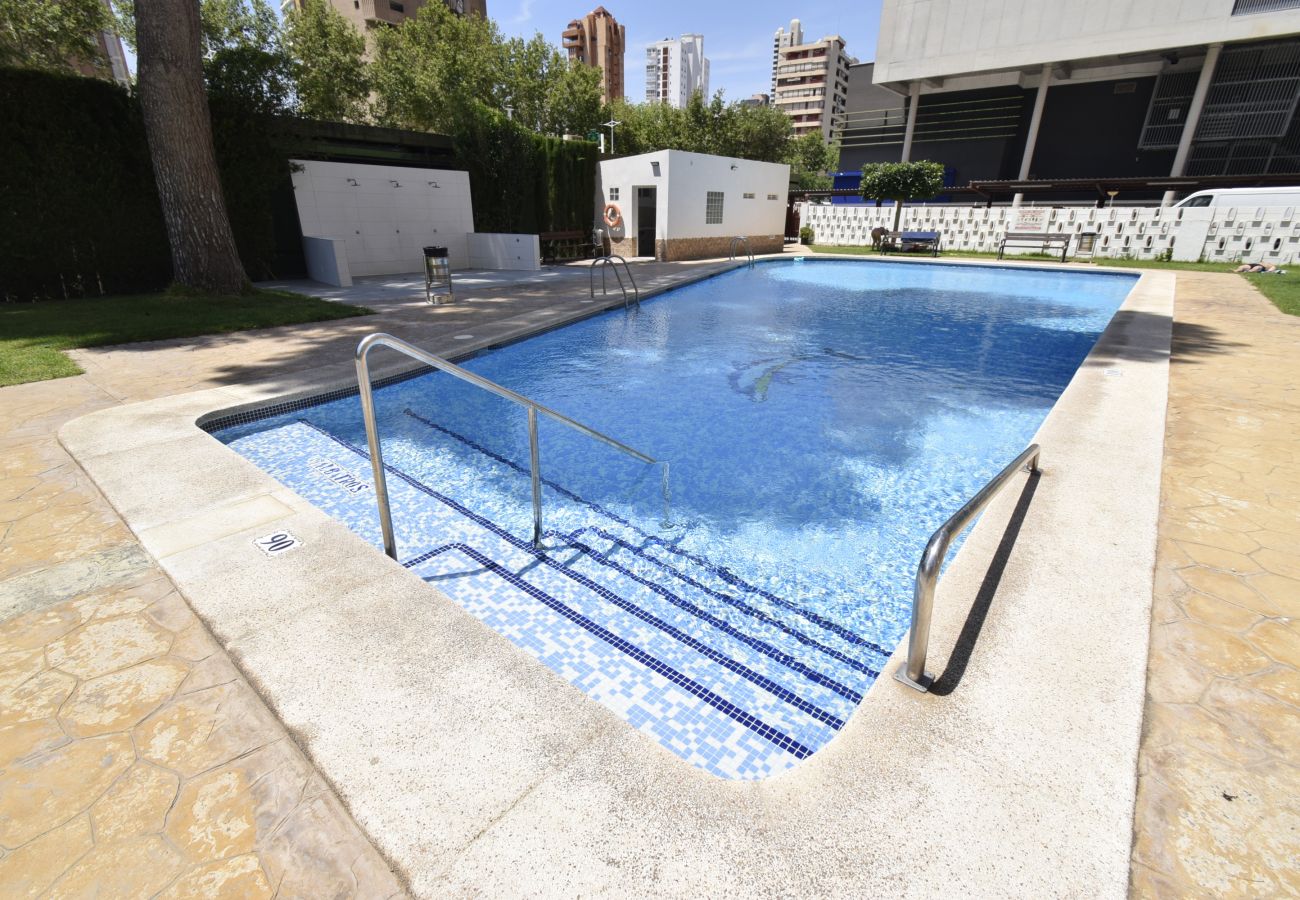 Apartamento en Benidorm - ALBATROS (1 DORMITORIO)