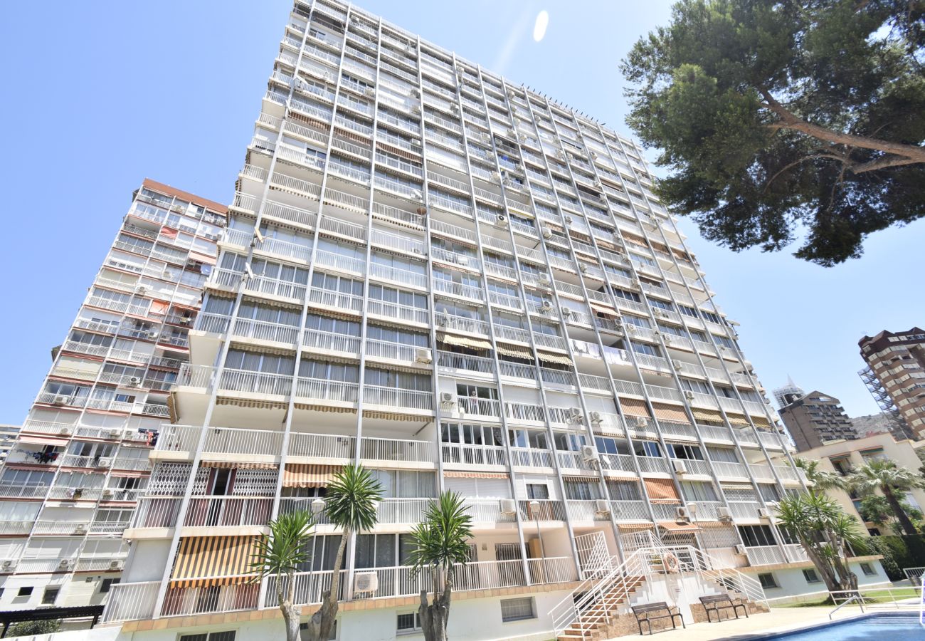 Apartamento en Benidorm - ALBATROS (1 DORMITORIO)