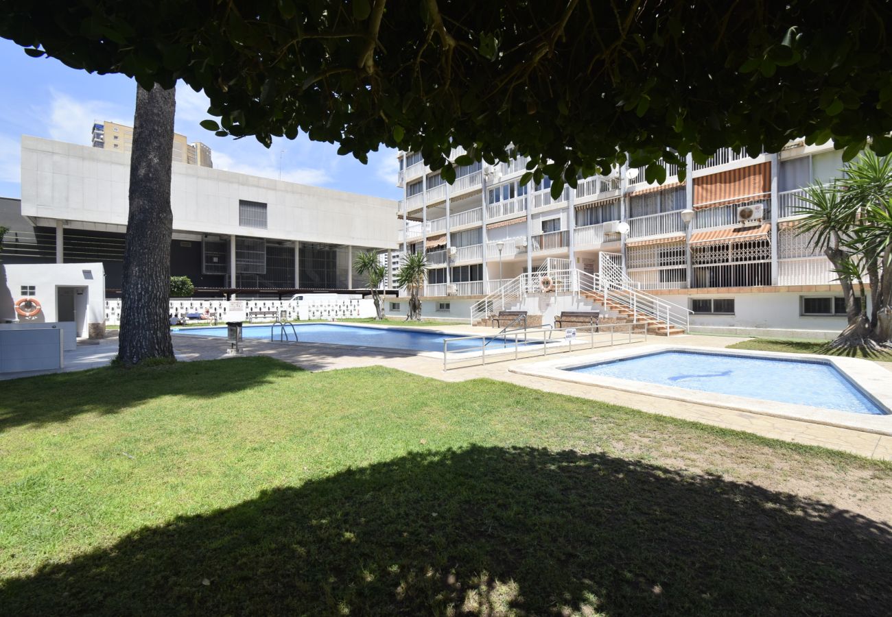 Apartamento en Benidorm - ALBATROS (1 DORMITORIO)