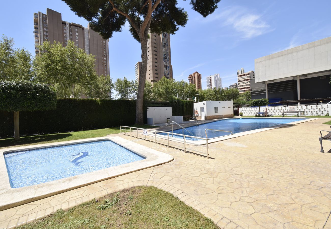 Apartamento en Benidorm - ALBATROS (1 DORMITORIO)