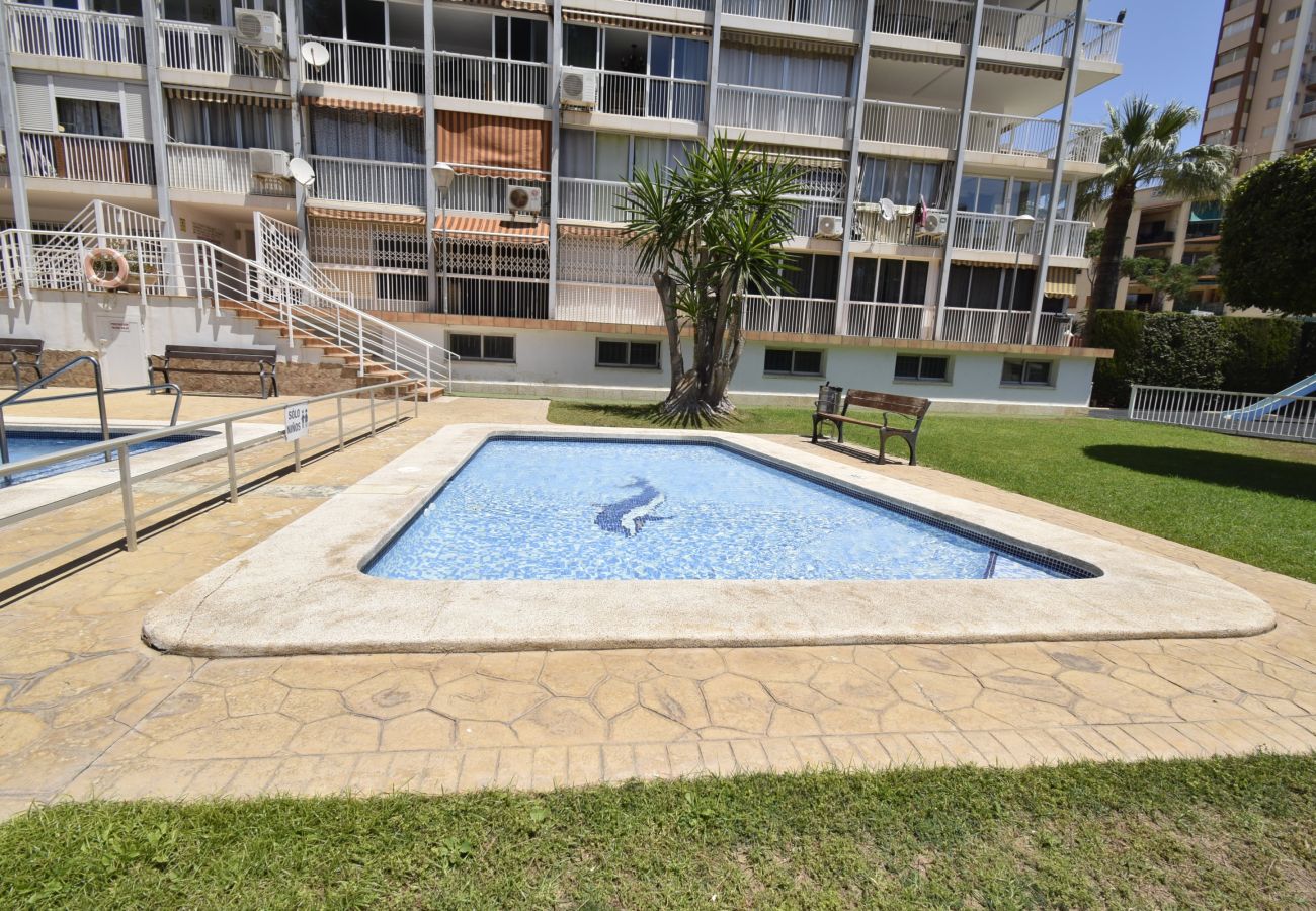 Apartamento en Benidorm - ALBATROS (1 DORMITORIO)