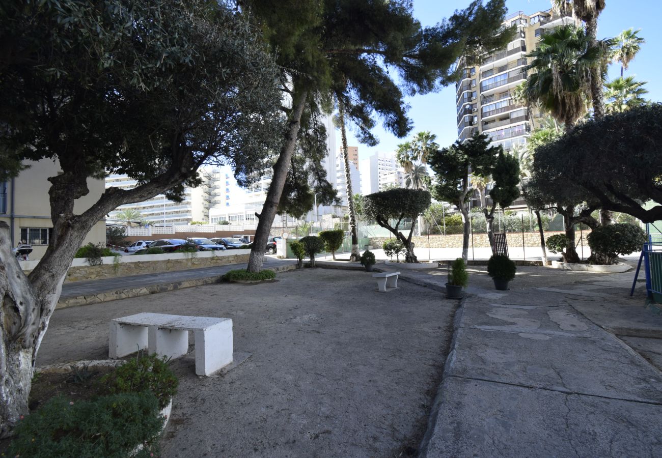 Apartamento en Benidorm - DONA (2 DORMITORIOS)