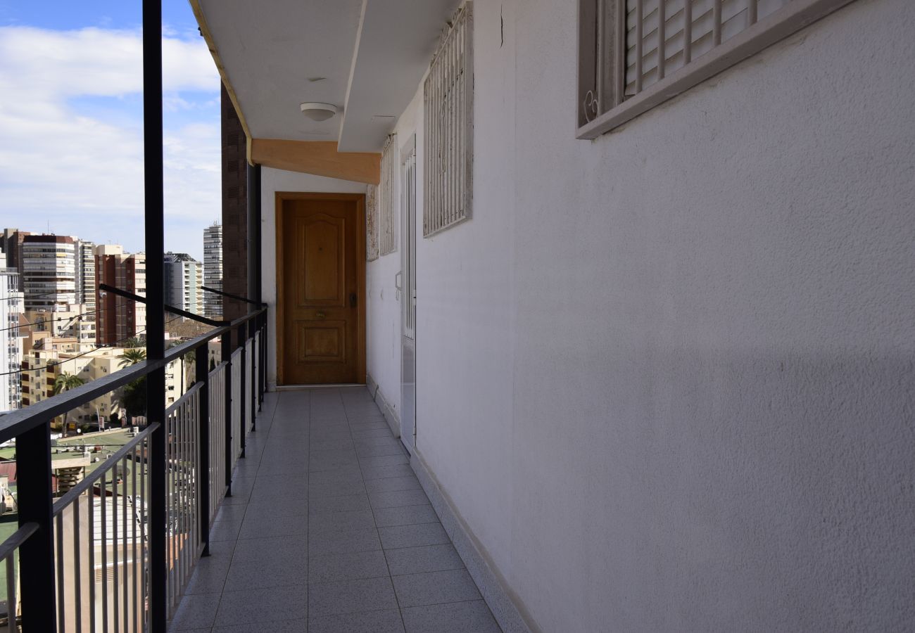 Apartamento en Benidorm - DONA (2 DORMITORIOS)