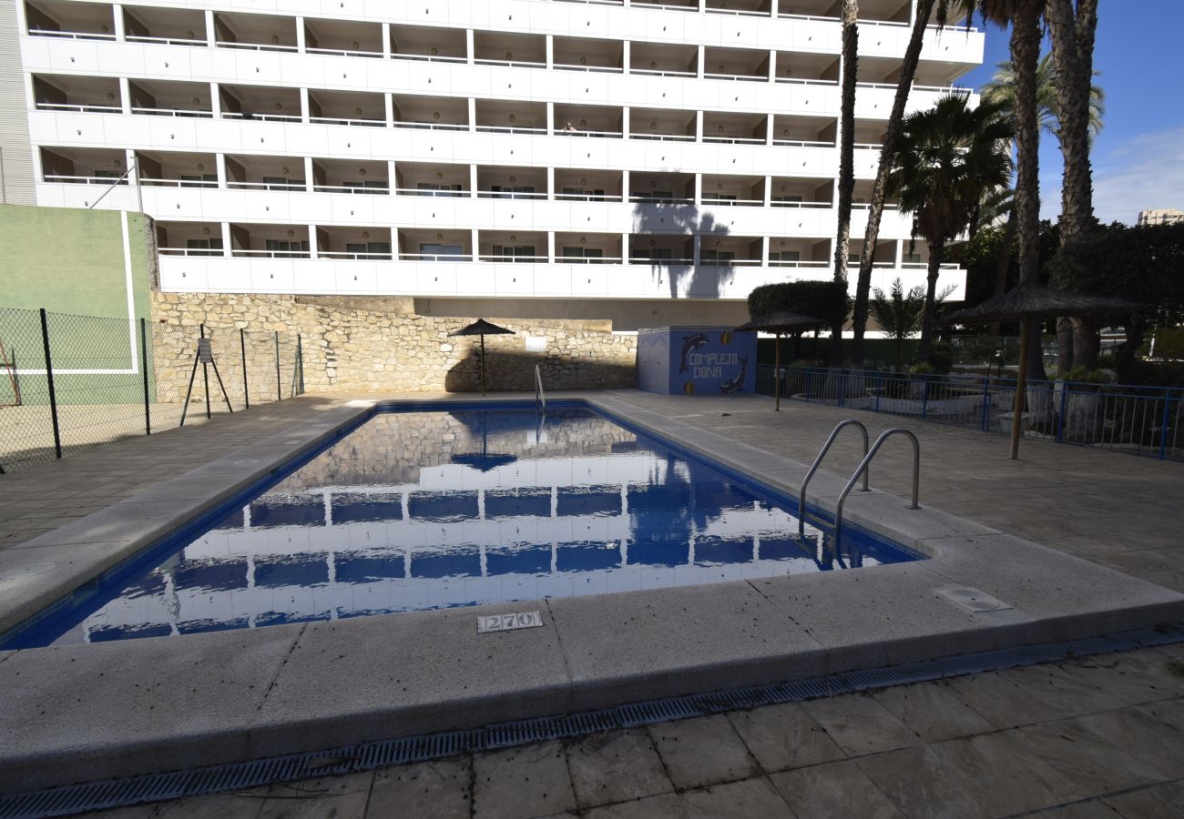 Apartamento en Benidorm - DONA (2 DORMITORIOS)