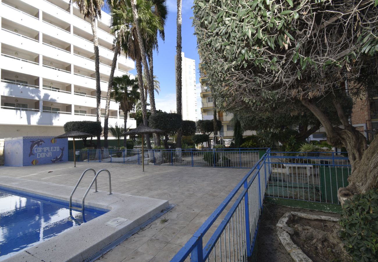 Apartamento en Benidorm - DONA (2 DORMITORIOS)