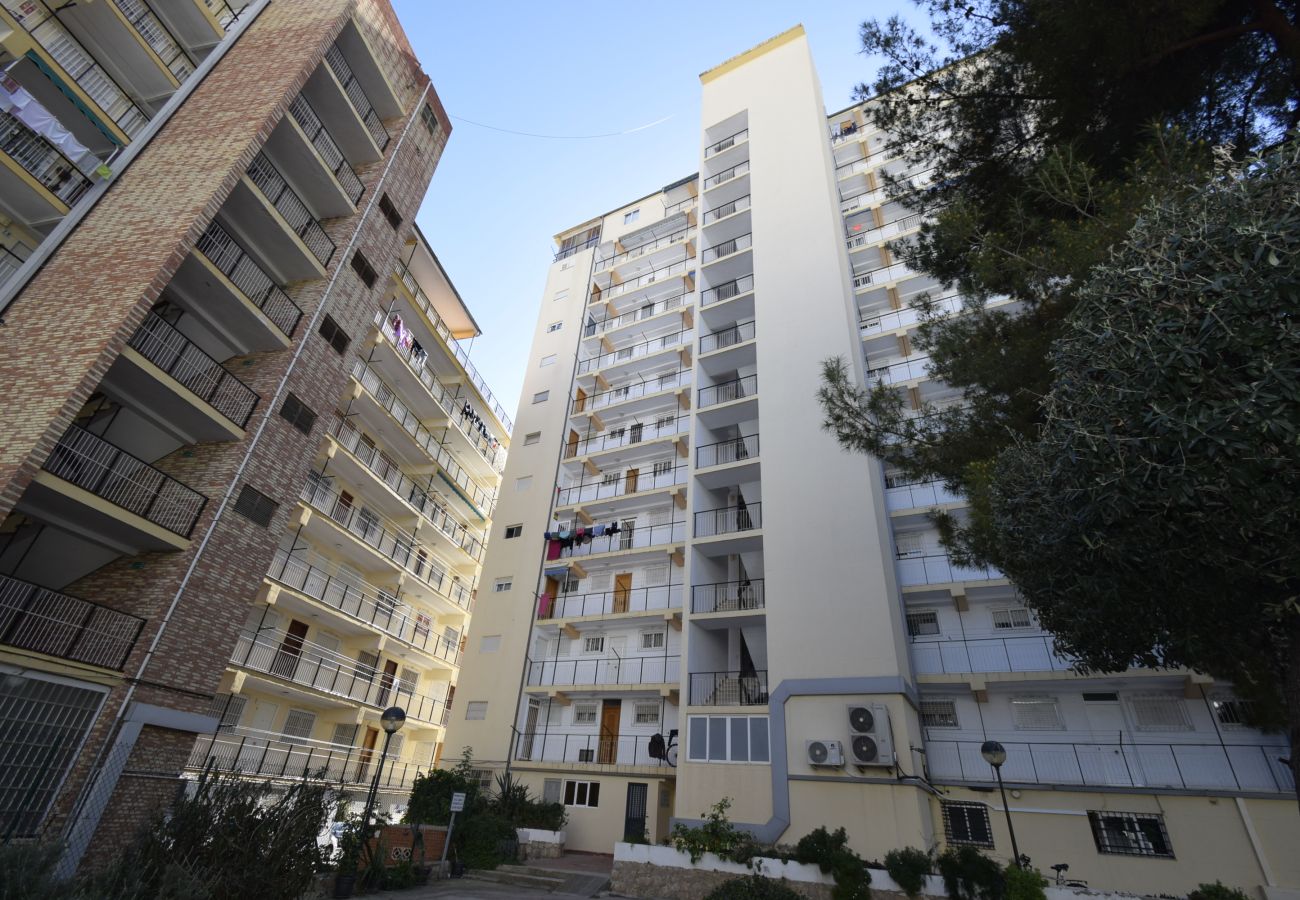 Apartamento en Benidorm - DONA (2 DORMITORIOS)