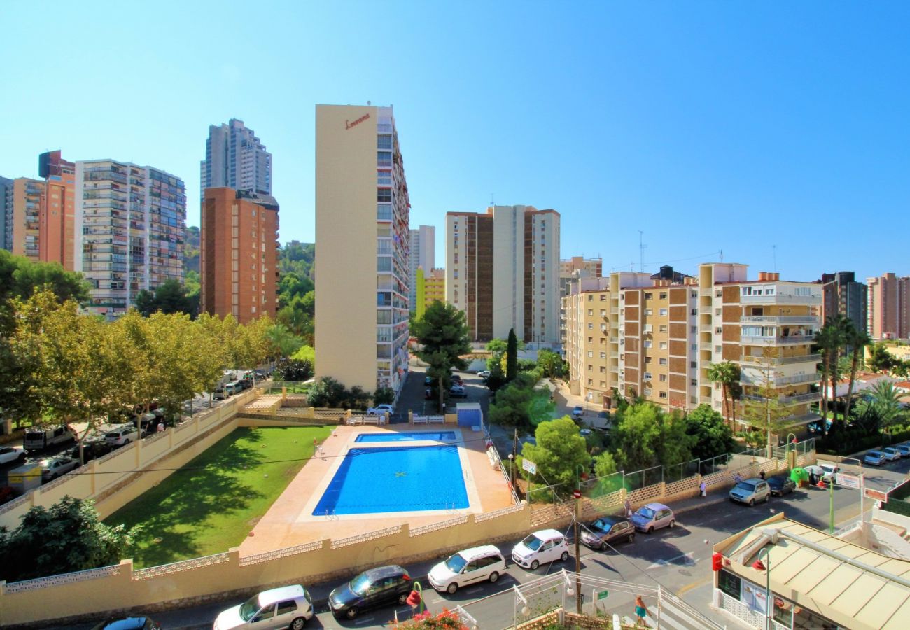 Apartamento en Benidorm - CADIZ (1 DORMITORIO)