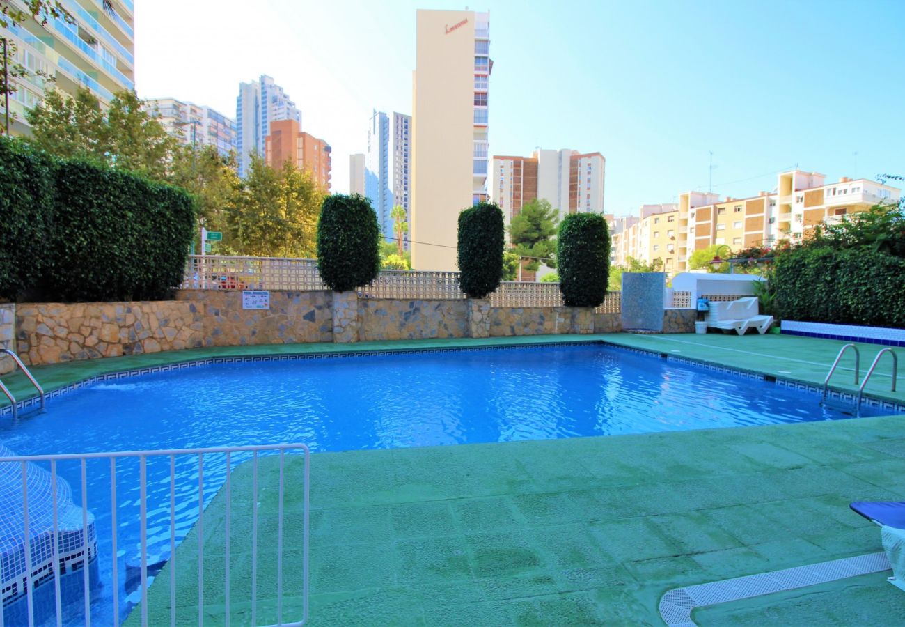 Apartamento en Benidorm - CADIZ (1 DORMITORIO)