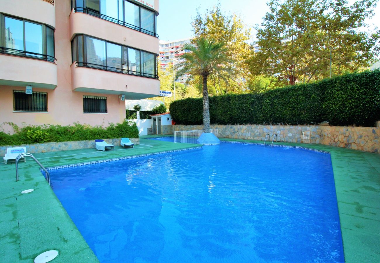 Apartamento en Benidorm - CADIZ (1 DORMITORIO)