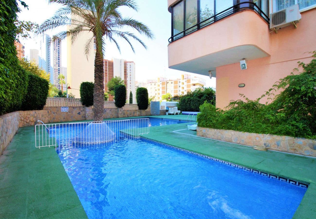 Apartamento en Benidorm - CADIZ (1 DORMITORIO)