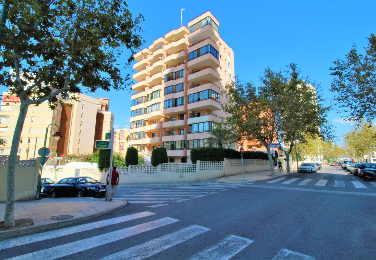 Apartamento en Benidorm - CADIZ (1 DORMITORIO)