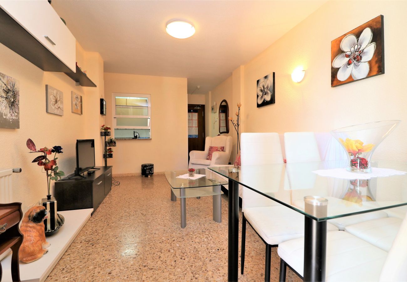 Apartamento en Benidorm - CADIZ (1 DORMITORIO)