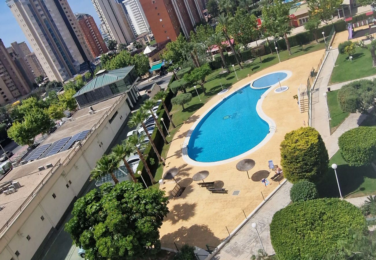 Apartamento en Benidorm - CIBELES (2 DORMITORIOS)