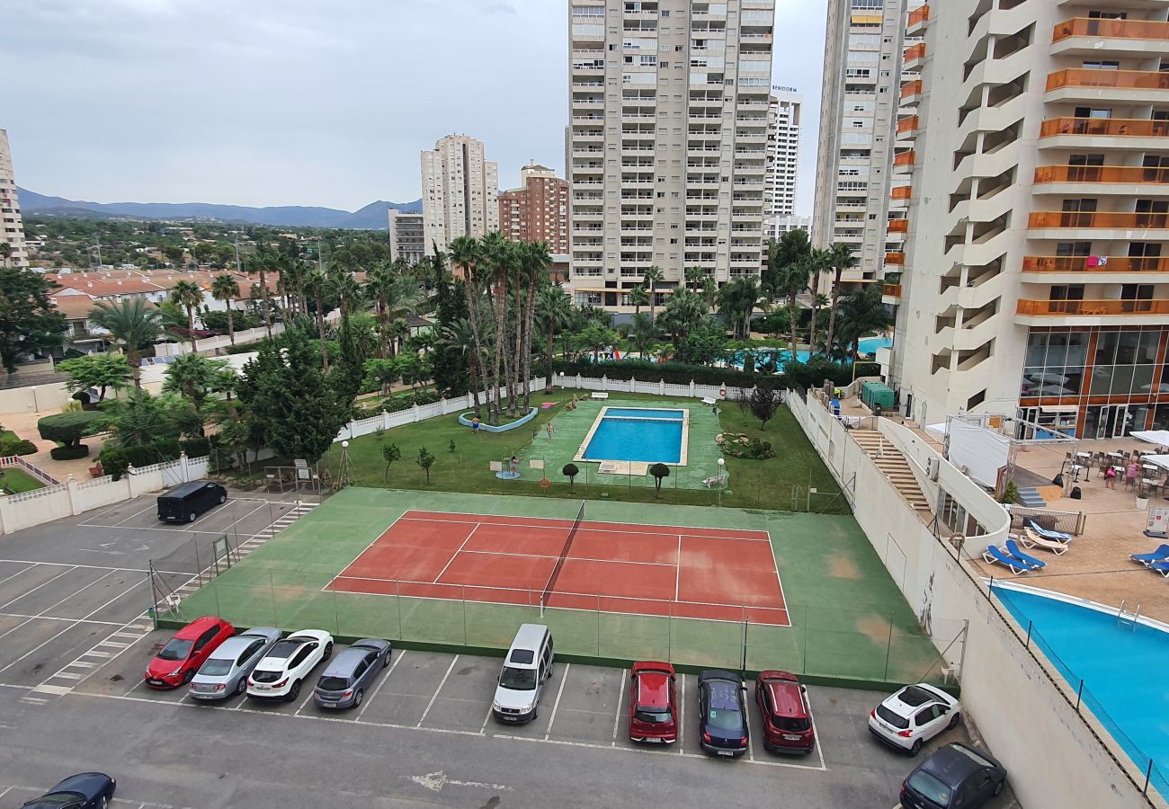 Apartamento en Benidorm - MARISCAL 3  2I (1  DORMITORIO)