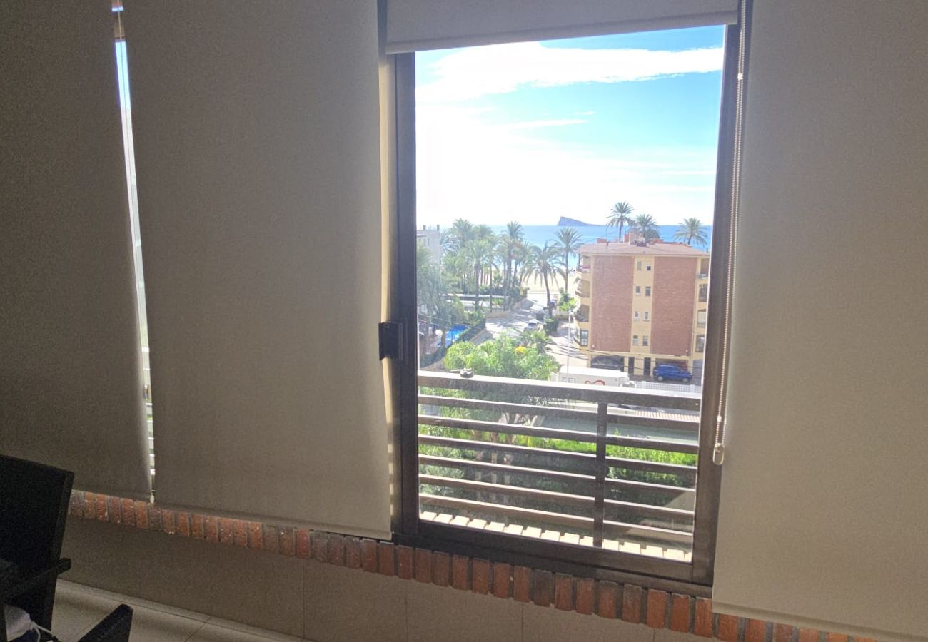 Apartamento en Benidorm - CASTELMAR 1C  (1 DORMITORIO)