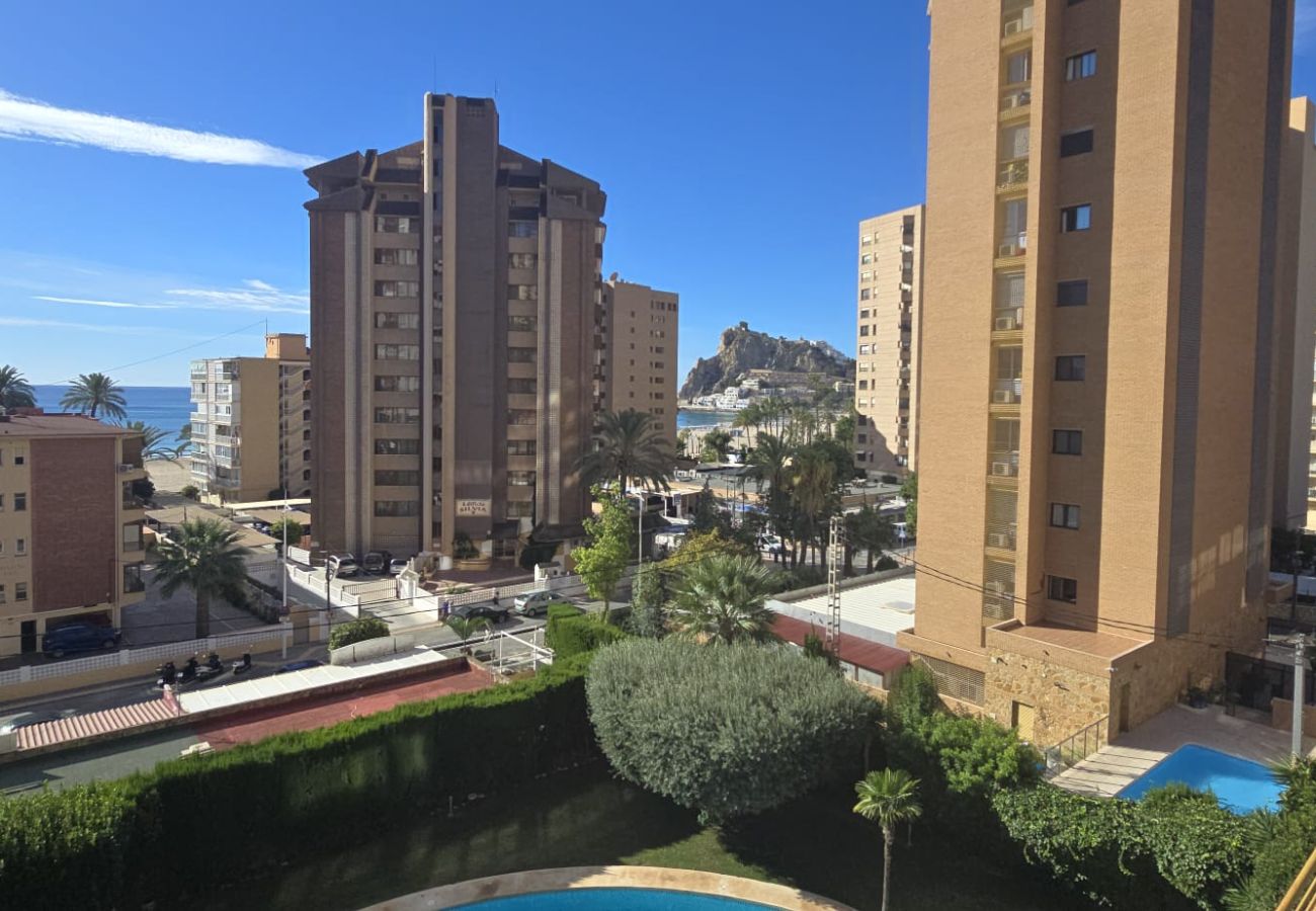 Apartamento en Benidorm - CASTELMAR 1C  (1 DORMITORIO)