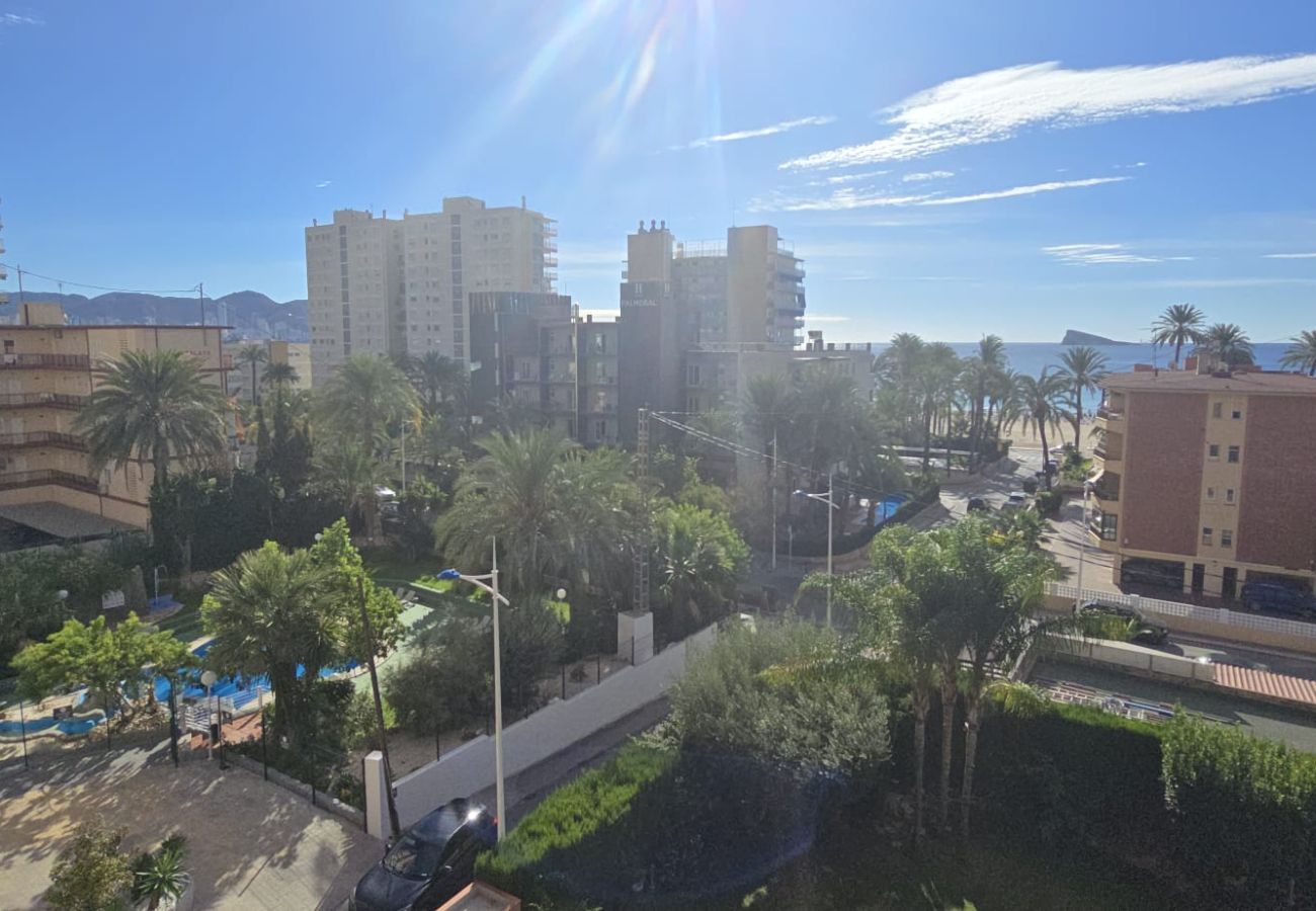 Apartamento en Benidorm - CASTELMAR 1C  (1 DORMITORIO)